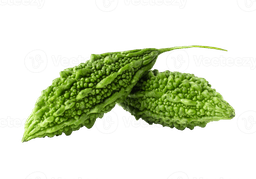 Bitter Gourd