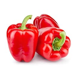 Capsicum