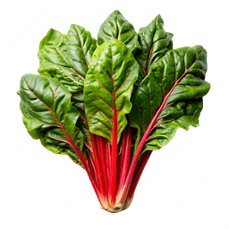 Chard