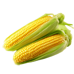 Corn