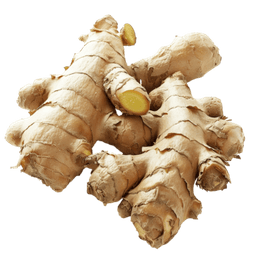 Ginger