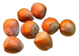 Hazelnuts