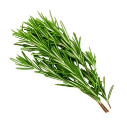 Rosemary