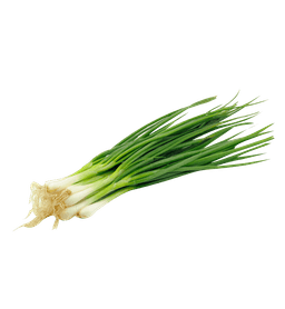 Spring Onion