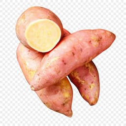 Sweet Potato
