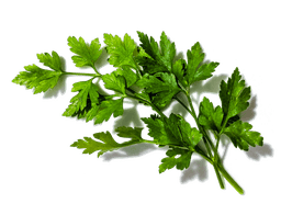 Parsley